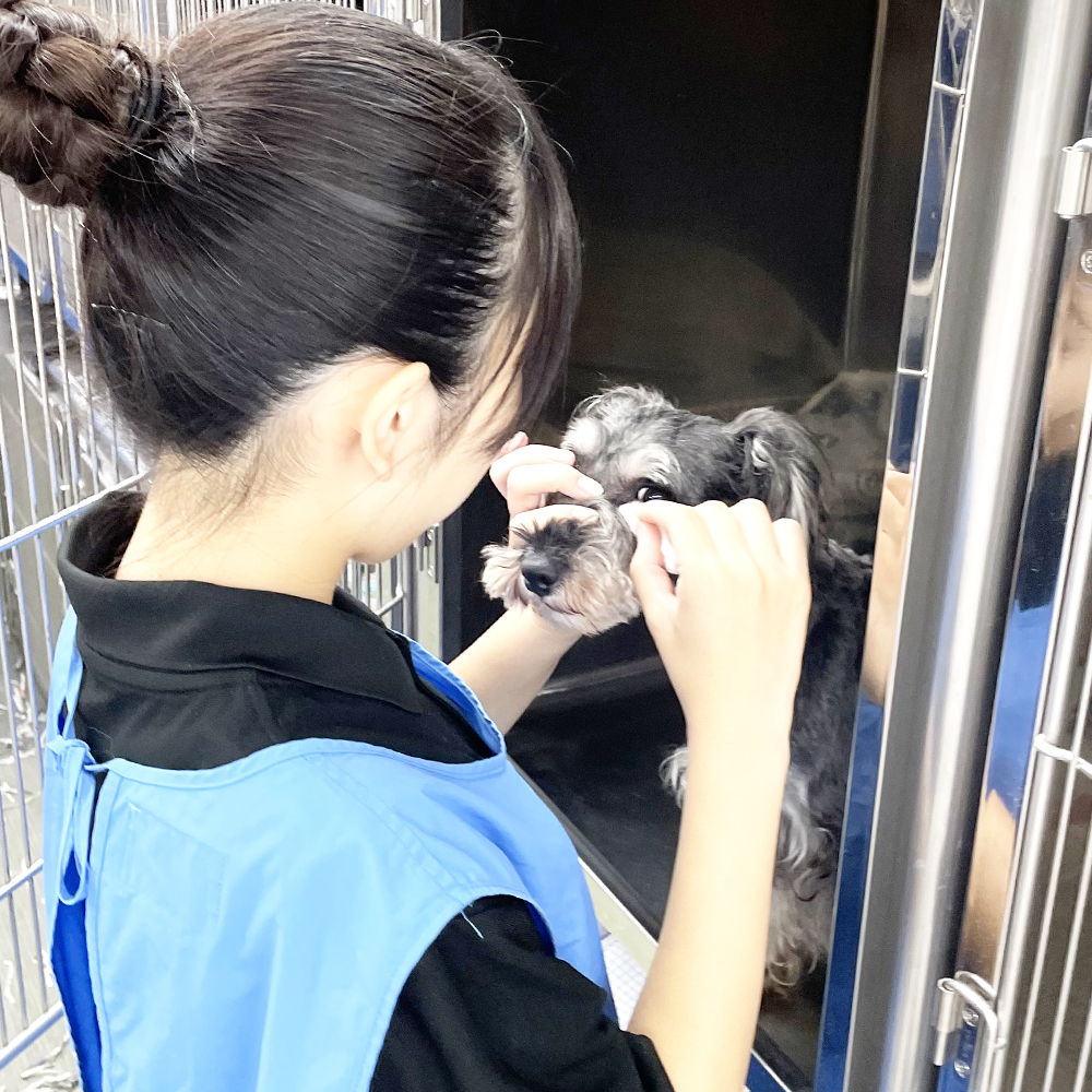 ２年生は子犬、１年生は成犬のお世話☆